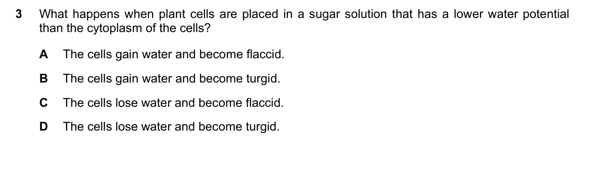 Question 3, June 2025, 0610 Paper 23
