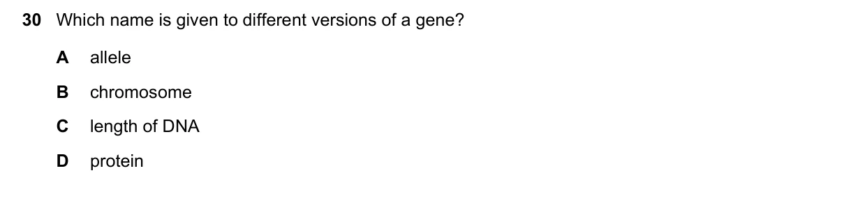 Question 30, June 2025, 0610 Paper 23