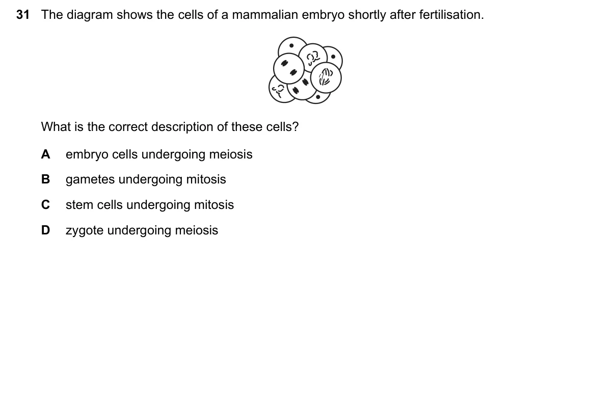Question 31, June 2025, 0610 Paper 23