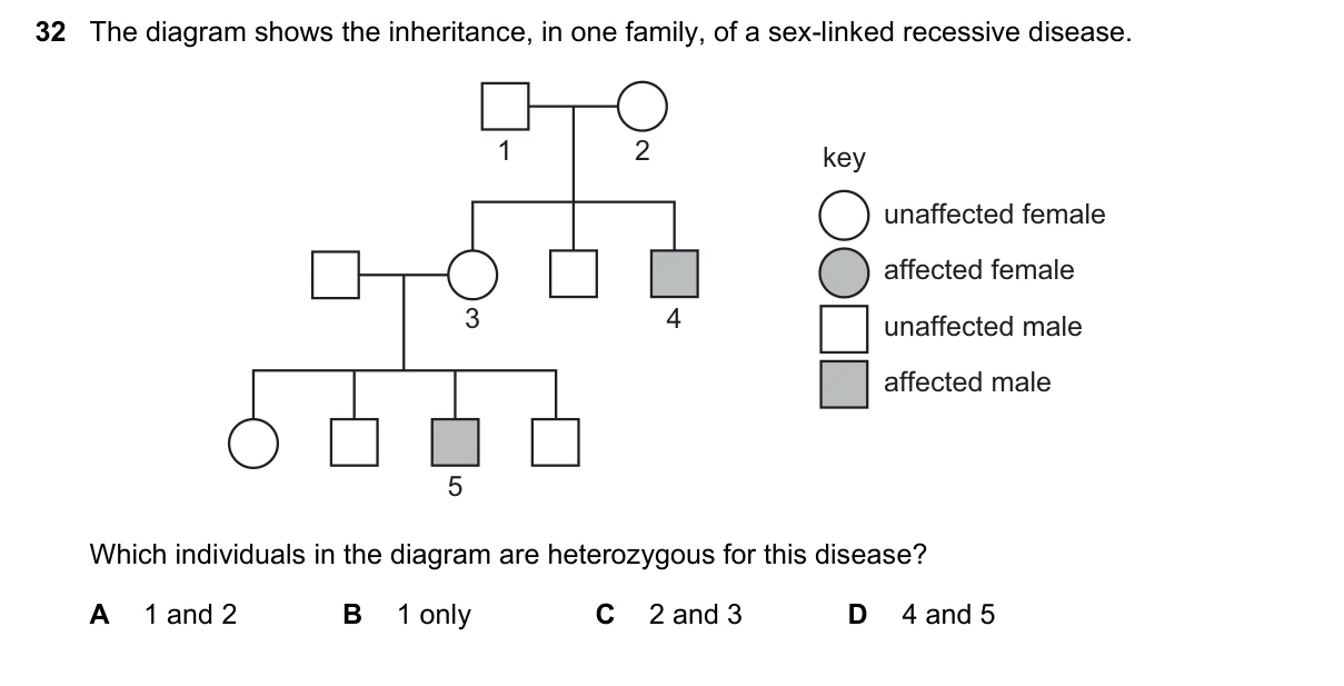 Question 32, June 2025, 0610 Paper 23