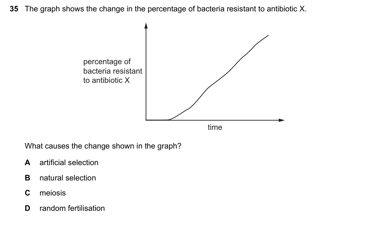 Question 35, June 2025, 0610 Paper 23