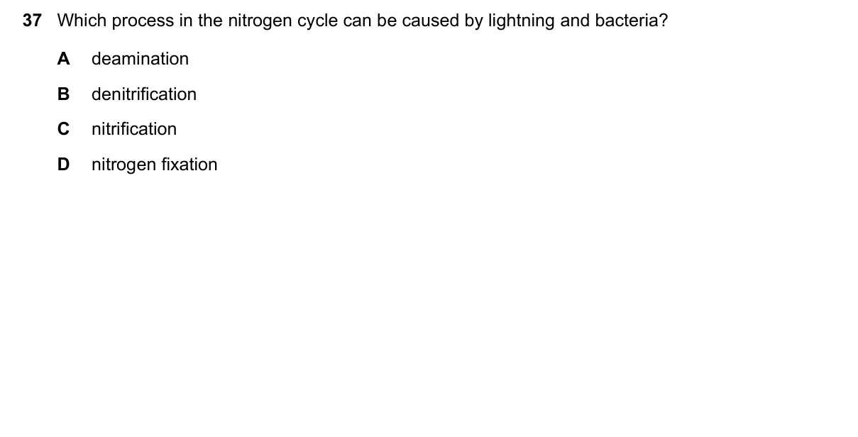 Question 37, June 2025, 0610 Paper 23