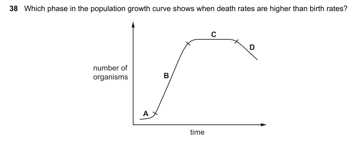 Question 38, June 2025, 0610 Paper 23