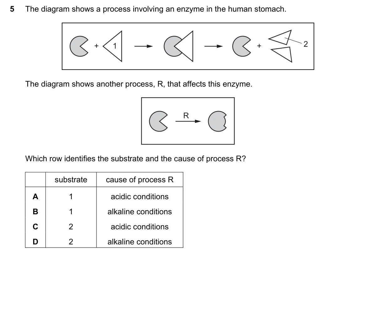 Question 5, June 2025, 0610 Paper 23