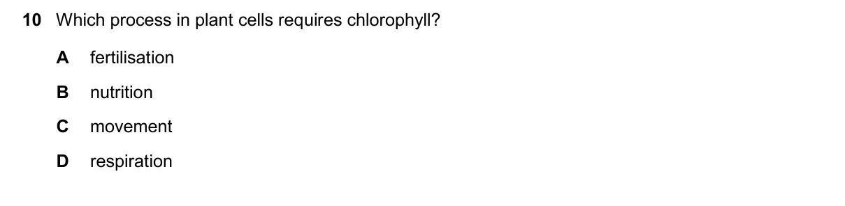 Question 10, November 2025, 0610 Paper 11