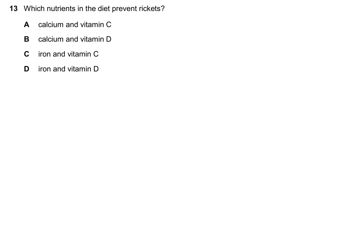 Question 13, November 2025, 0610 Paper 11