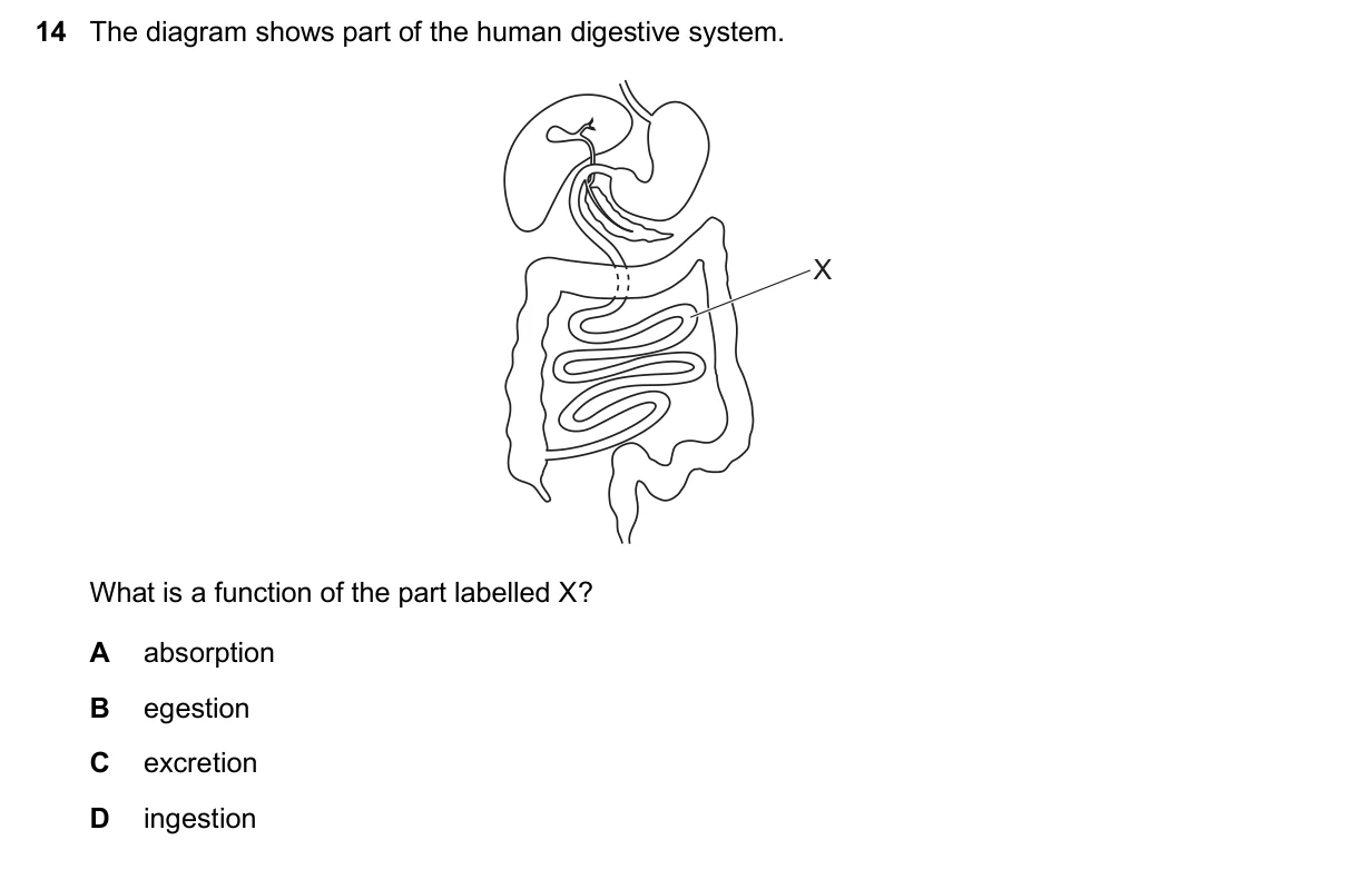 Question 14, November 2025, 0610 Paper 11