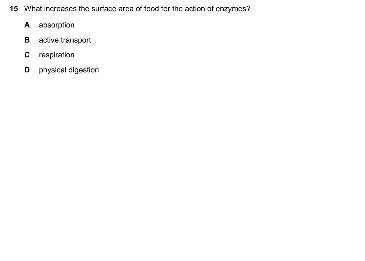 Question 15, November 2025, 0610 Paper 11
