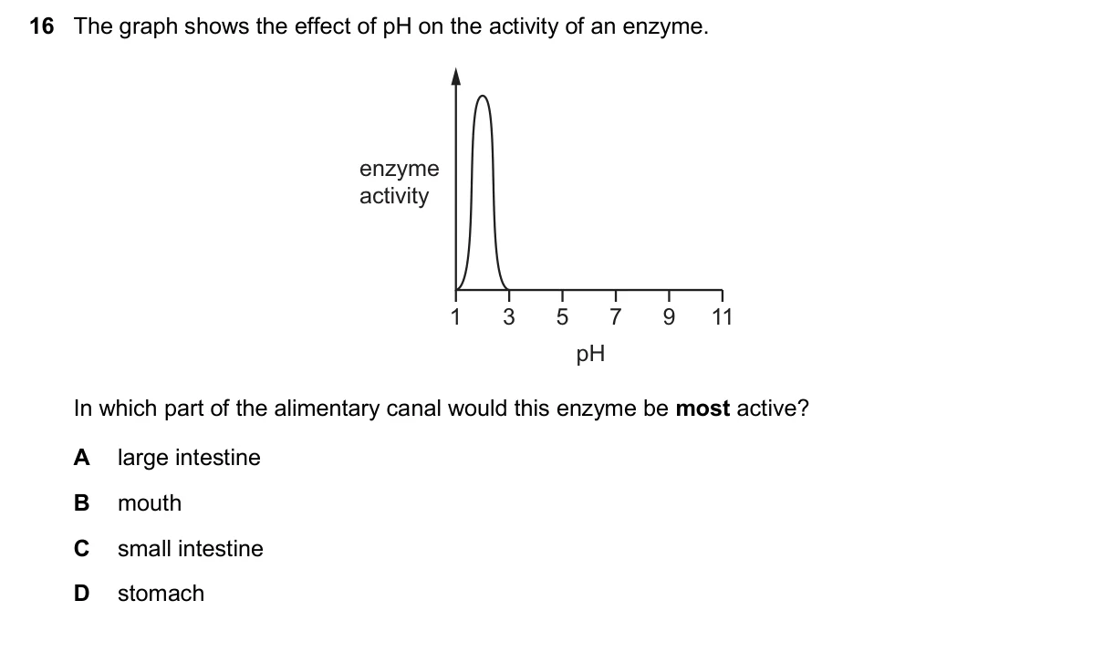 Question 16, November 2025, 0610 Paper 11