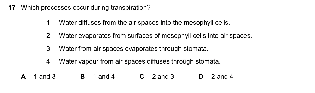 Question 17, November 2025, 0610 Paper 11