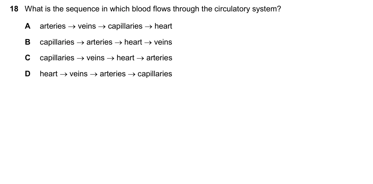Question 18, November 2025, 0610 Paper 11
