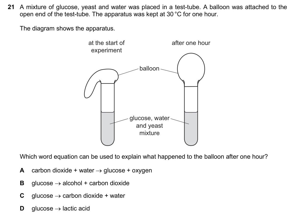Question 21, November 2025, 0610 Paper 11