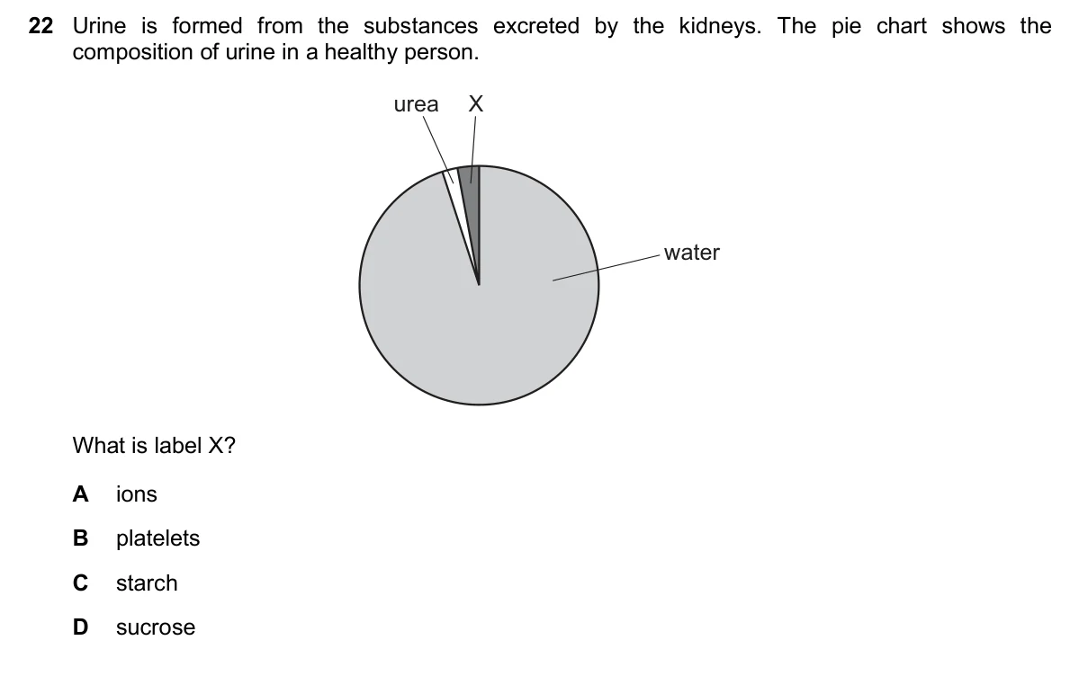 Question 22, November 2025, 0610 Paper 11
