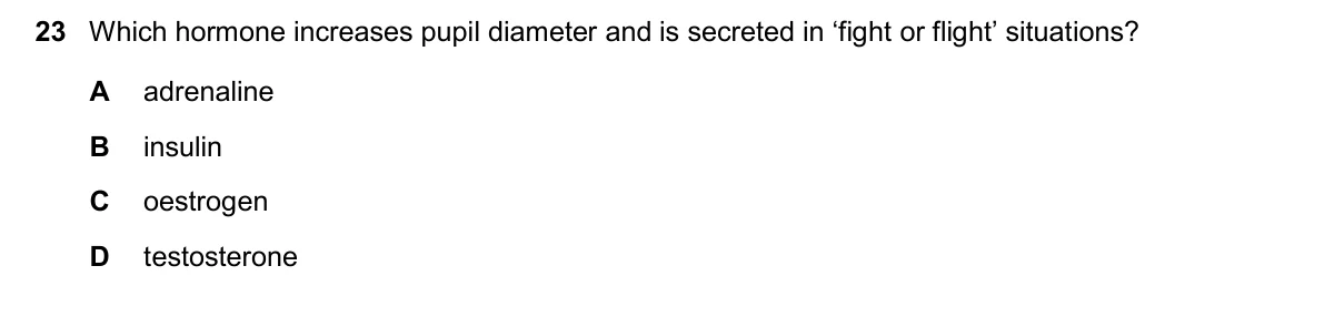 Question 23, November 2025, 0610 Paper 11