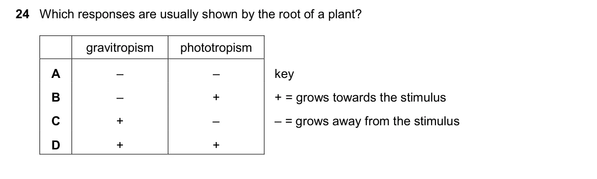 Question 24, November 2025, 0610 Paper 11