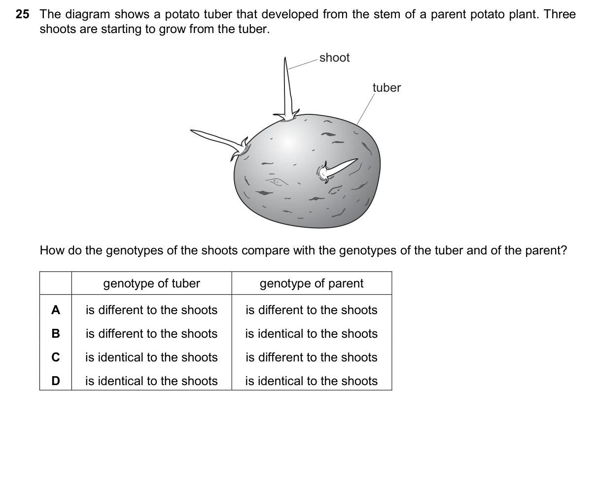 Question 25, November 2025, 0610 Paper 11