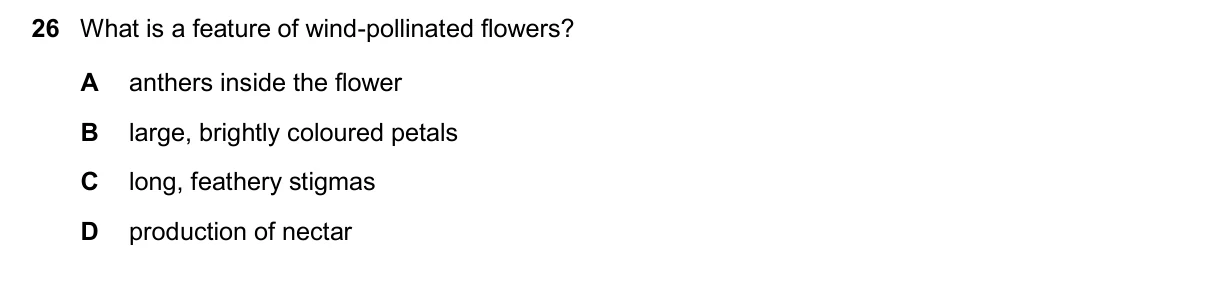 Question 26, November 2025, 0610 Paper 11