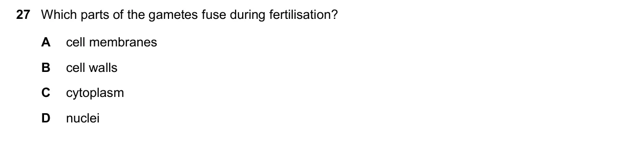 Question 27, November 2025, 0610 Paper 11