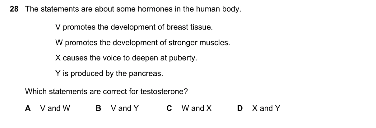 Question 28, November 2025, 0610 Paper 11