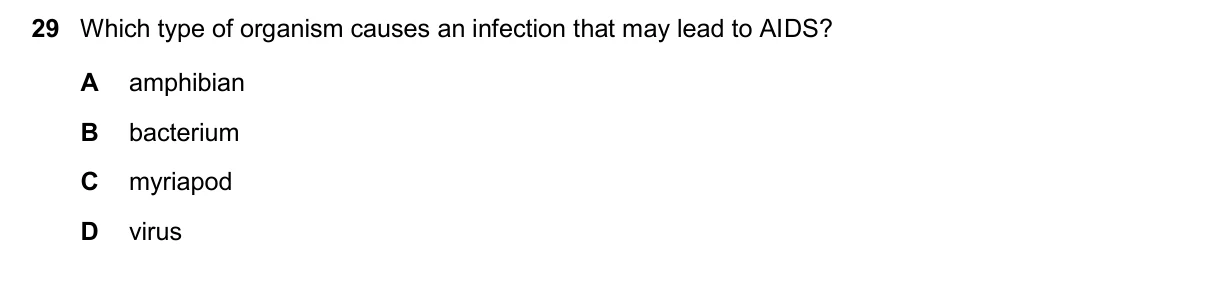 Question 29, November 2025, 0610 Paper 11