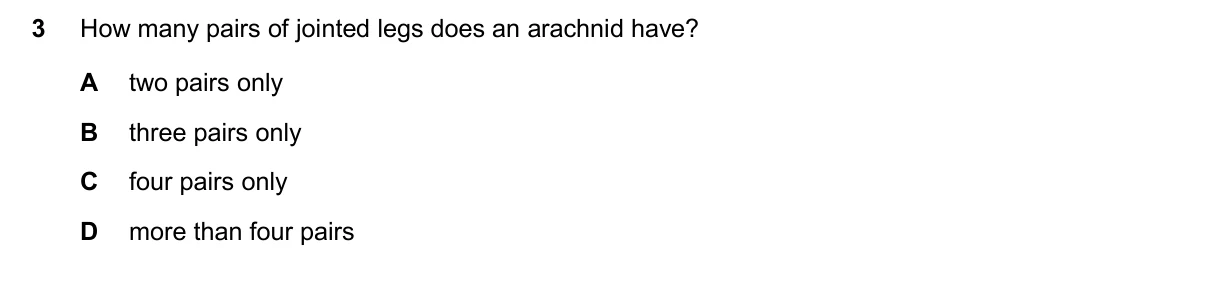 Question 3, November 2025, 0610 Paper 11