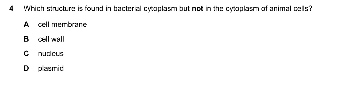 Question 4, November 2025, 0610 Paper 11