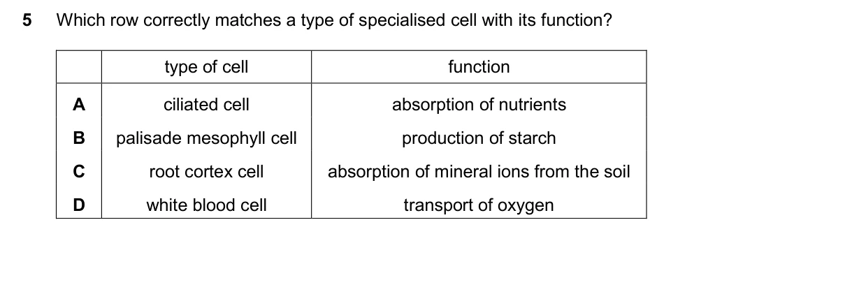 Question 5, November 2025, 0610 Paper 11