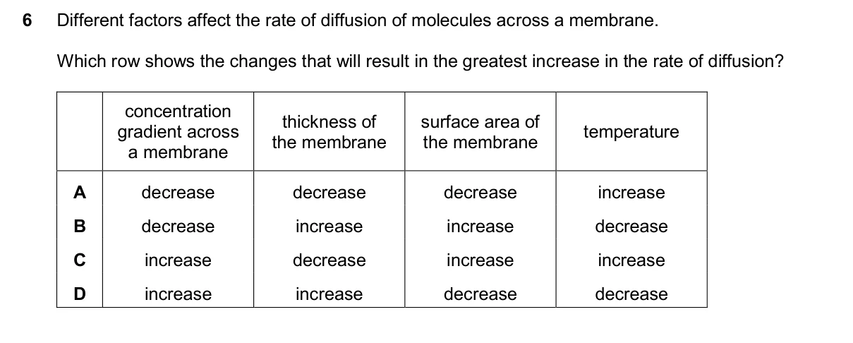 Question 6, November 2025, 0610 Paper 11