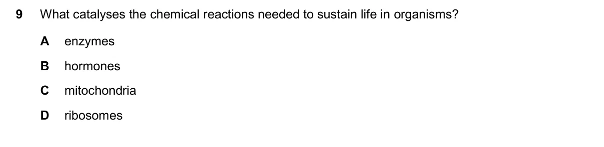 Question 9, November 2025, 0610 Paper 11