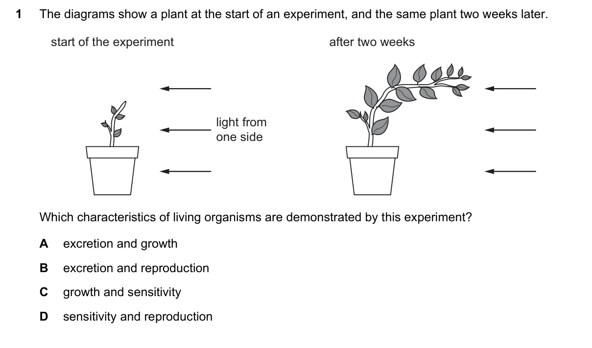 Question 1, November 2025, 0610 Paper 21