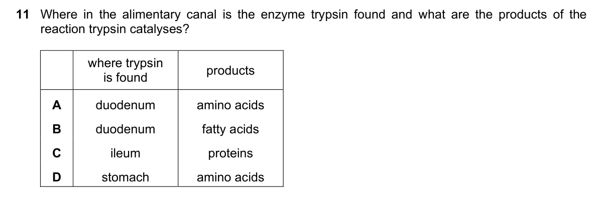 Question 11, November 2025, 0610 Paper 21