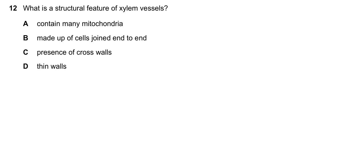 Question 12, November 2025, 0610 Paper 21