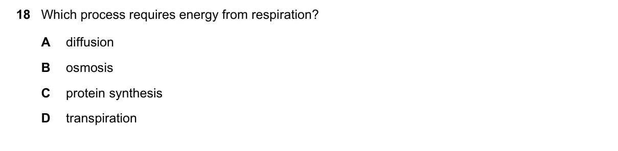 Question 18, November 2025, 0610 Paper 21