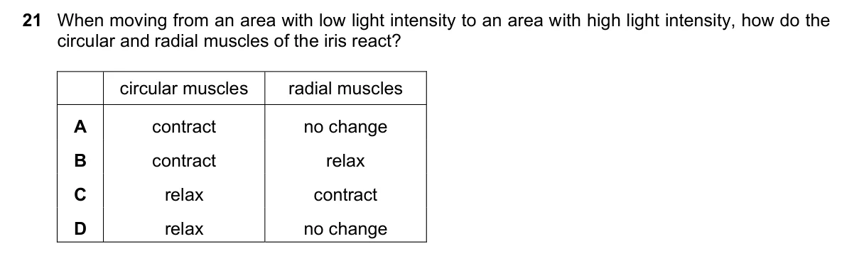 Question 21, November 2025, 0610 Paper 21