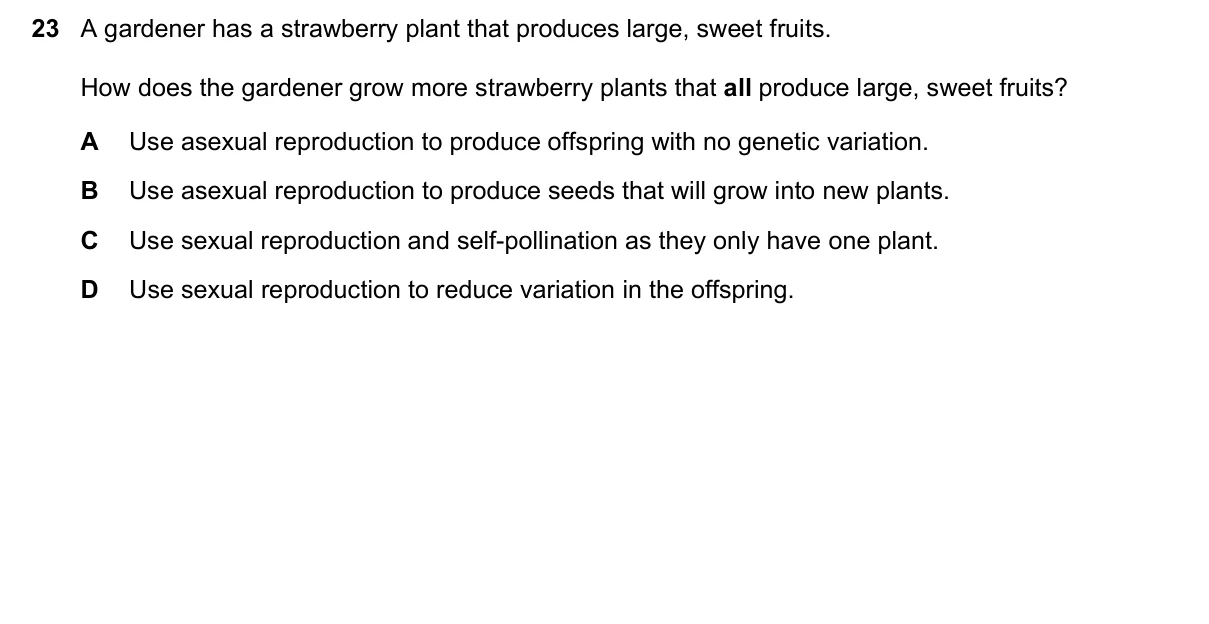 Question 23, November 2025, 0610 Paper 21