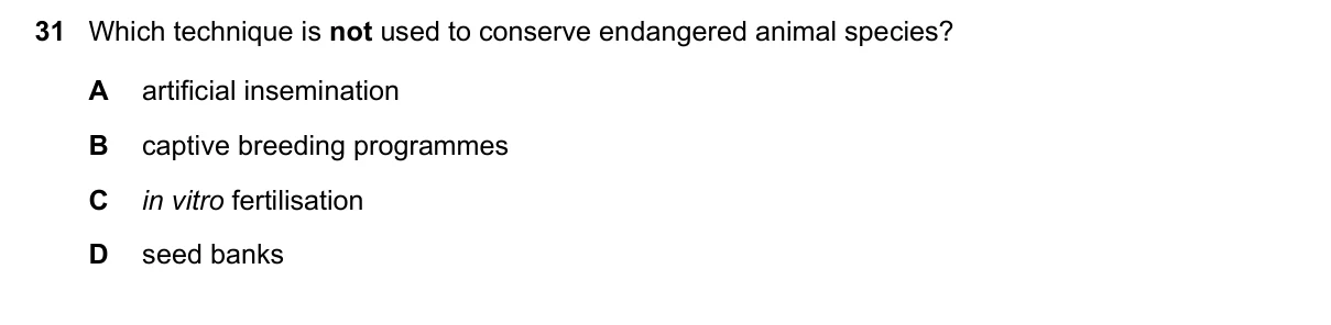 Question 31, November 2025, 0610 Paper 21