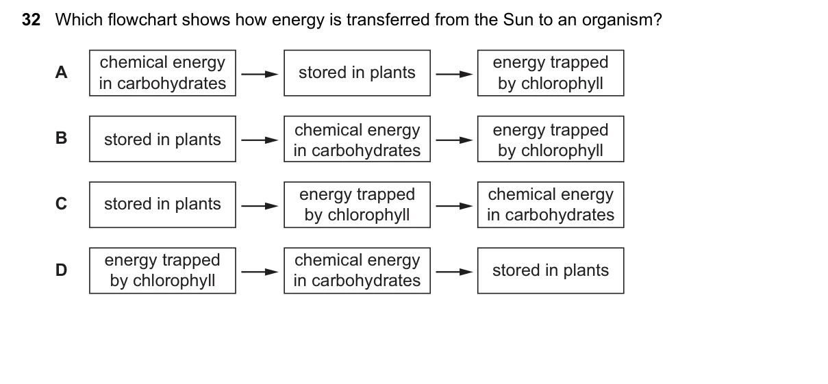 Question 32, November 2025, 0610 Paper 21