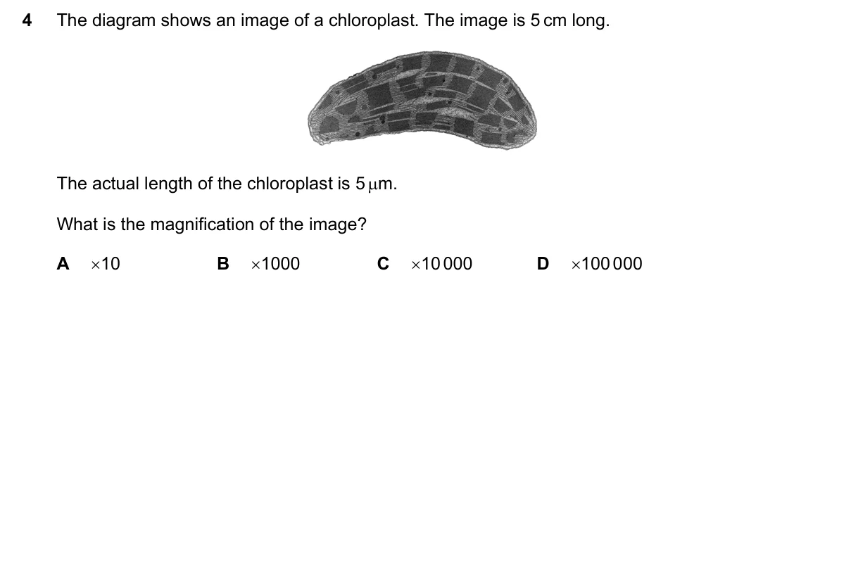 Question 4, November 2025, 0610 Paper 21