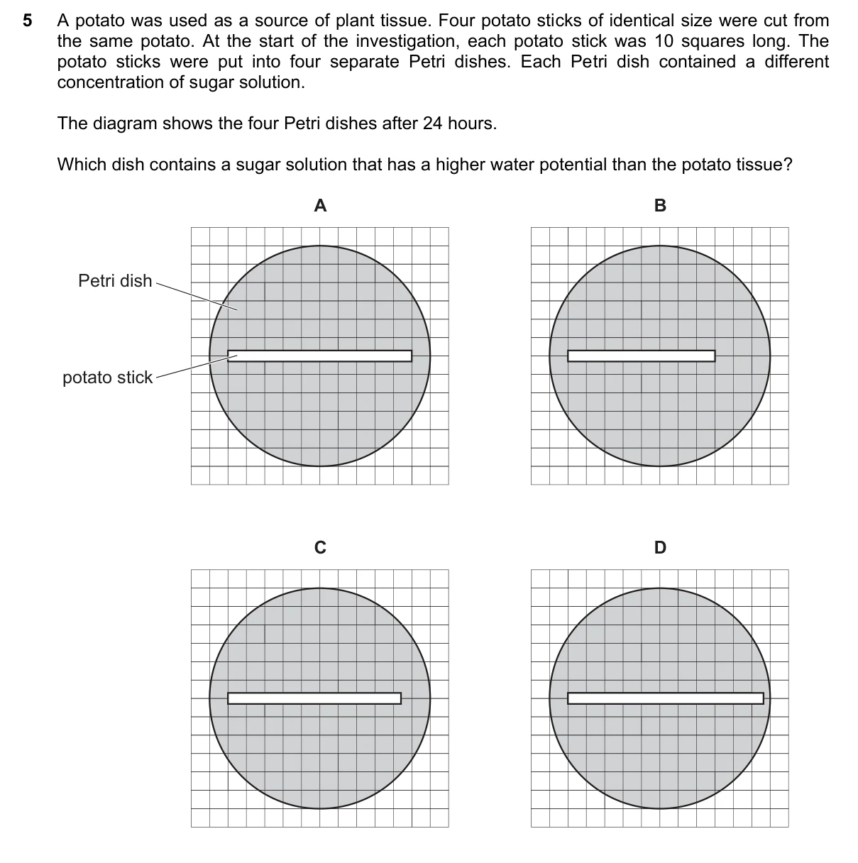 Question 5, November 2025, 0610 Paper 21