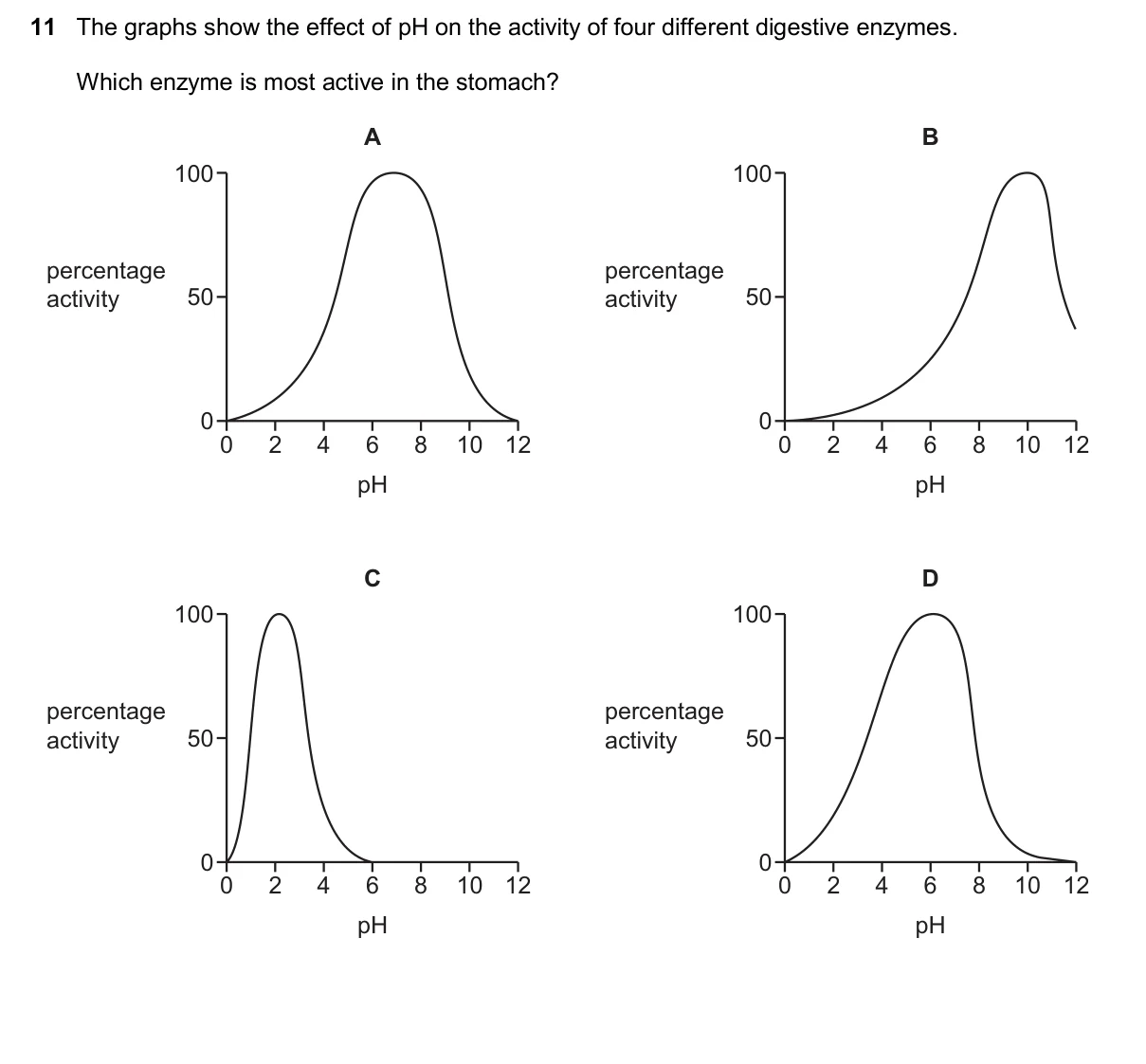 Question 11, November 2025, 0610 Paper 12