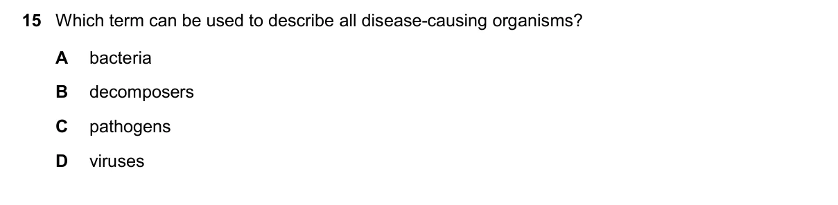 Question 15, November 2025, 0610 Paper 12