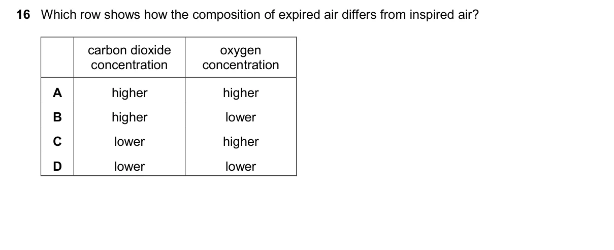 Question 16, November 2025, 0610 Paper 12