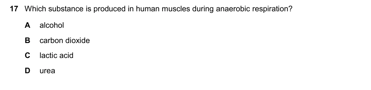 Question 17, November 2025, 0610 Paper 12