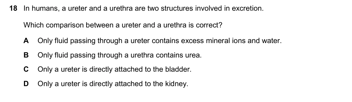 Question 18, November 2025, 0610 Paper 12