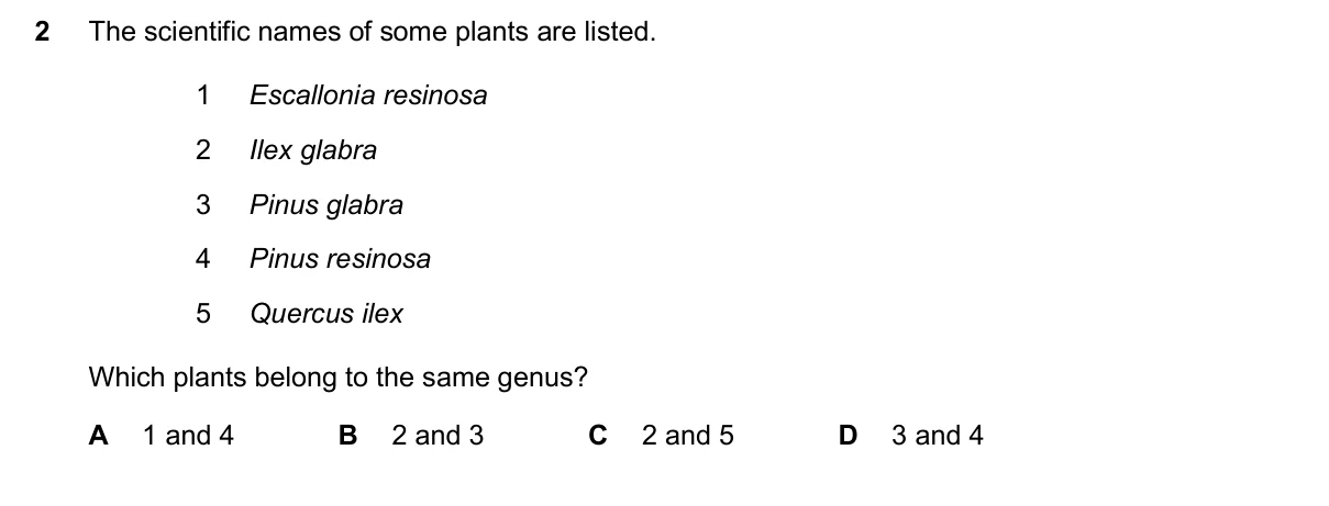 Question 2, November 2025, 0610 Paper 12
