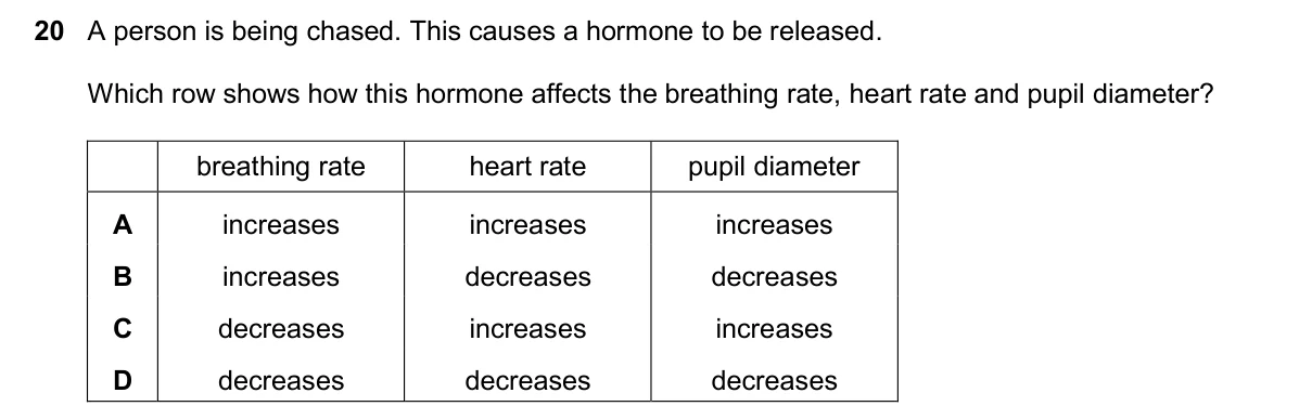 Question 20, November 2025, 0610 Paper 12