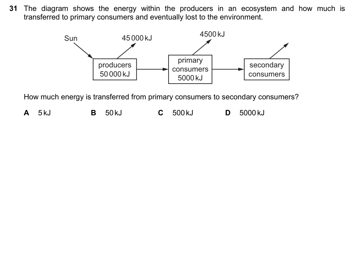 Question 31, November 2025, 0610 Paper 12