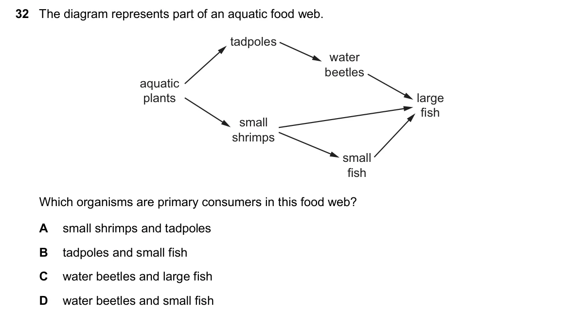 Question 32, November 2025, 0610 Paper 12