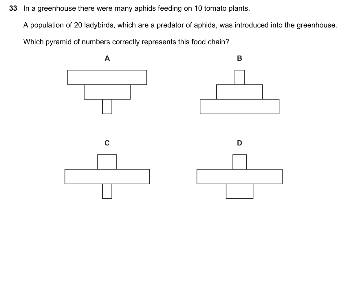 Question 33, November 2025, 0610 Paper 12