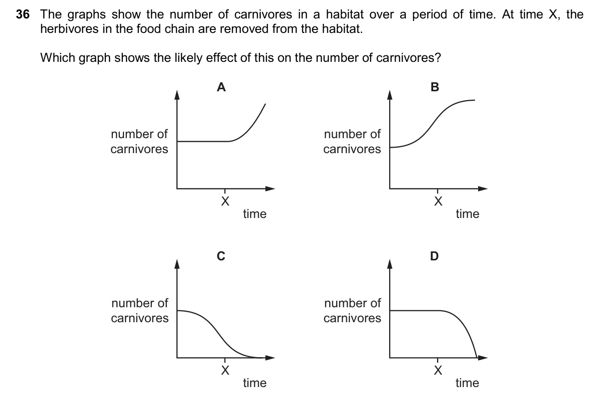 Question 36, November 2025, 0610 Paper 12